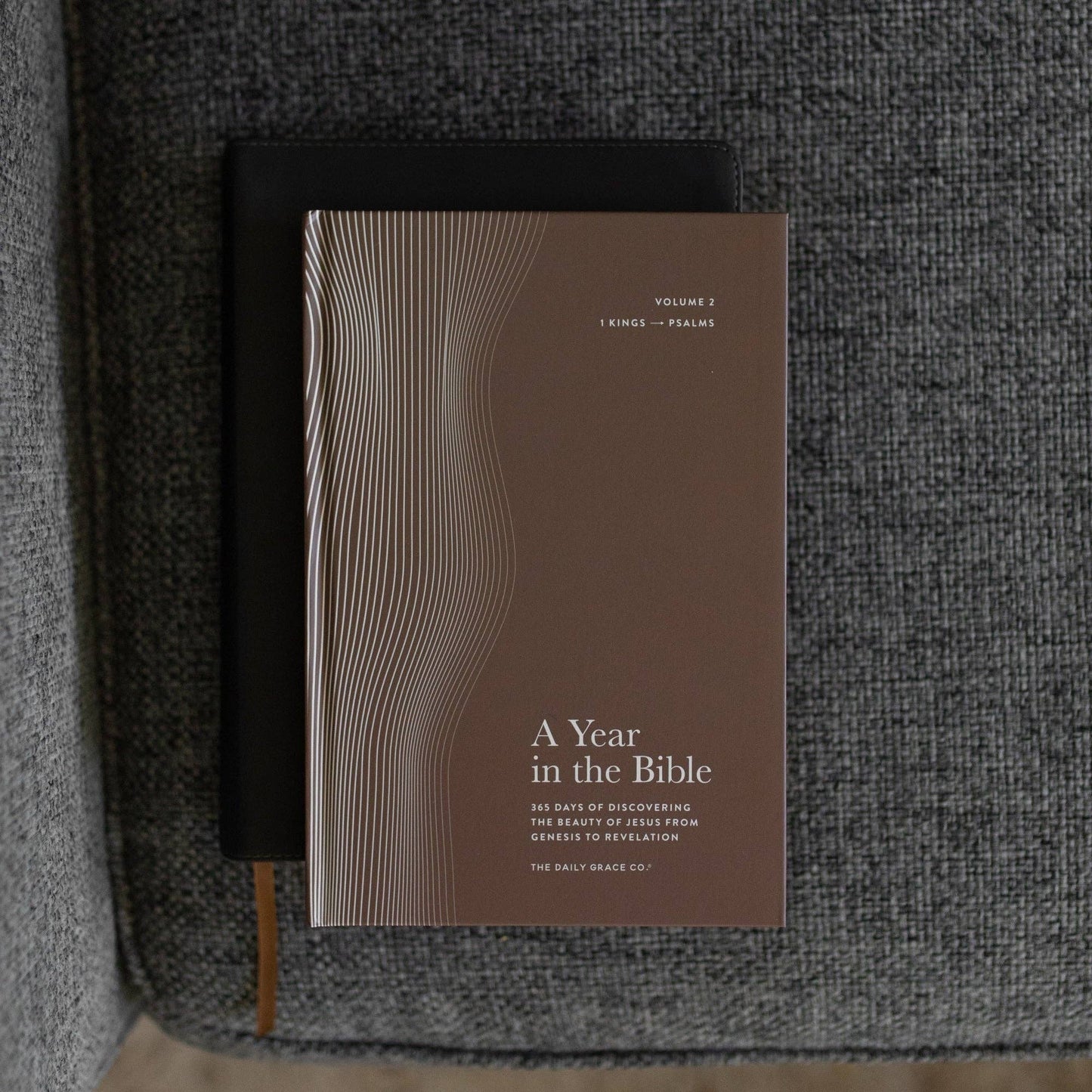 A Year in the Bible | Men's Study | 365 Days of Discovering the Beauty of Jesus from Genesis to Revelation | Volume 2