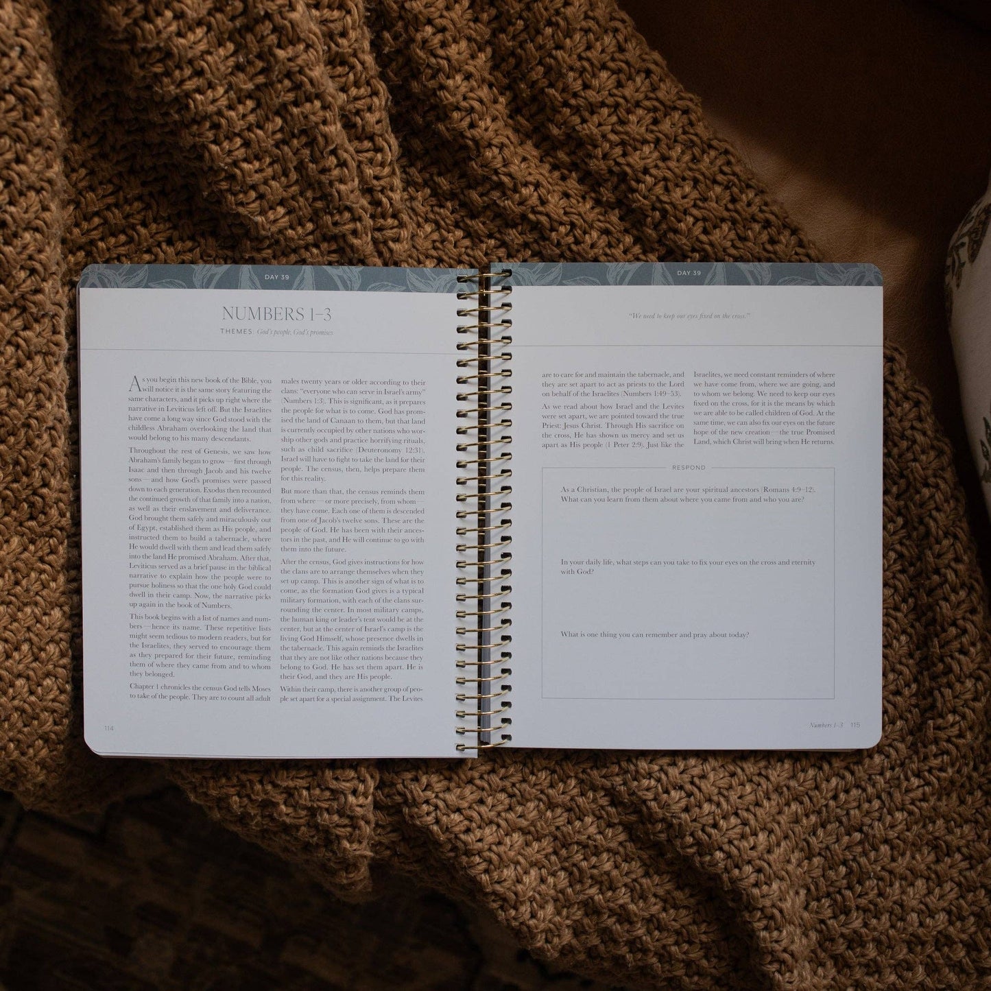 A Year in the Bible | 365 Days of Discovering the Beauty of Jesus from Genesis to Revelation | Volume 1