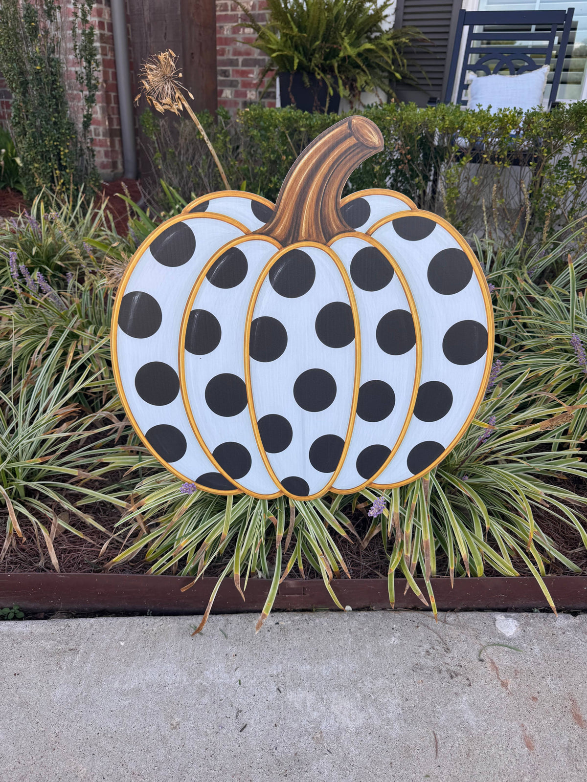 Dottie - Dots Pumpkin