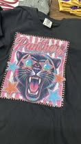 Panthers Pink Stripe Preppy Tee