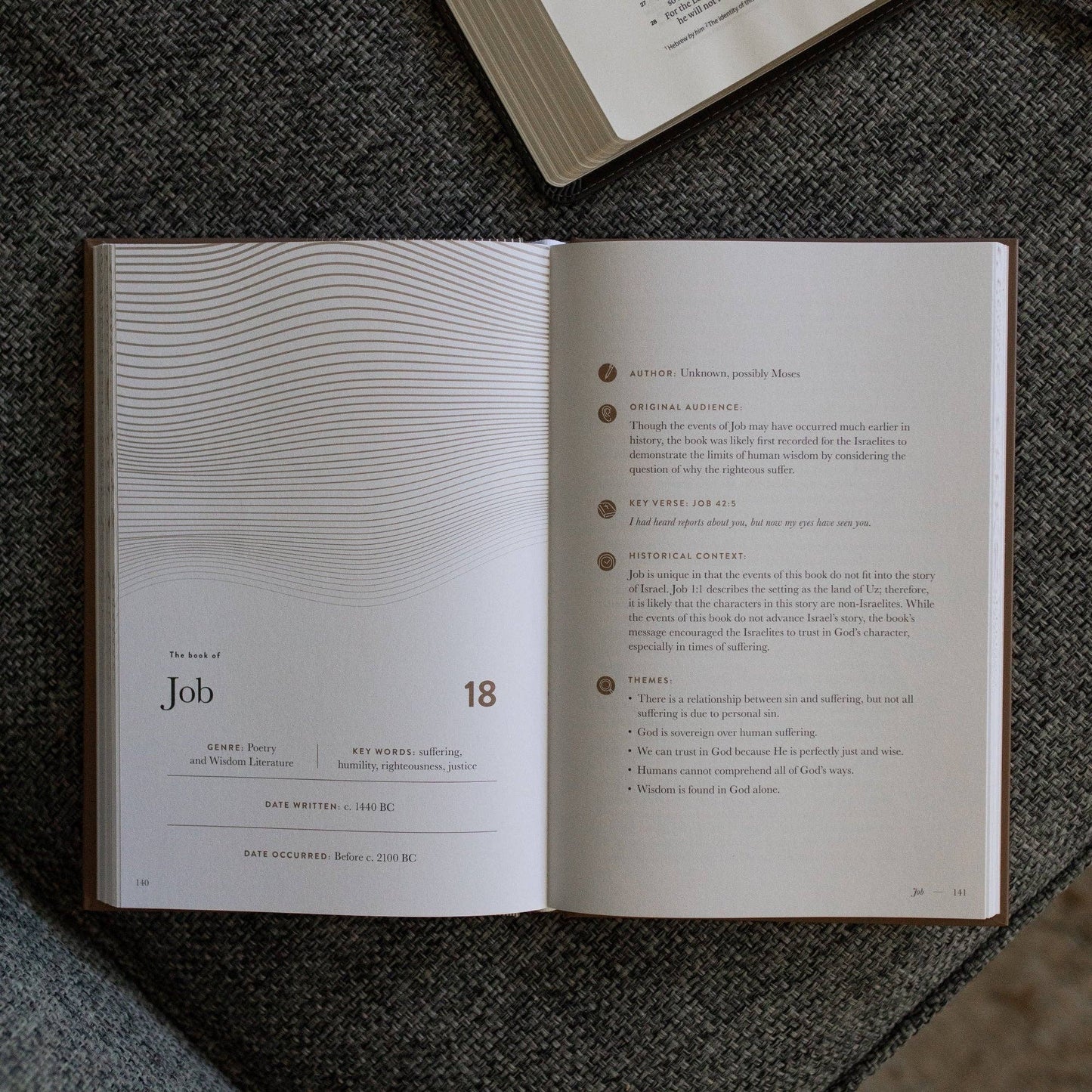 A Year in the Bible | Men's Study | 365 Days of Discovering the Beauty of Jesus from Genesis to Revelation | Volume 2