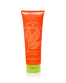 Hand and Body Lotion 9oz
