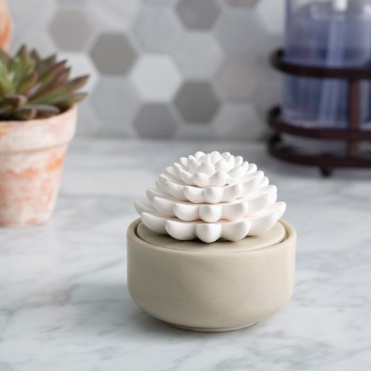 Succulent Porcelain Passive Diffuser