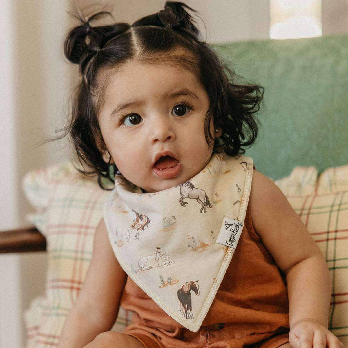 4 Pack Baby Bandana Bibs - Cheyenne